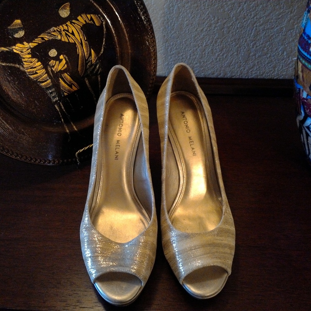 ANTONIO MELANI SHOE